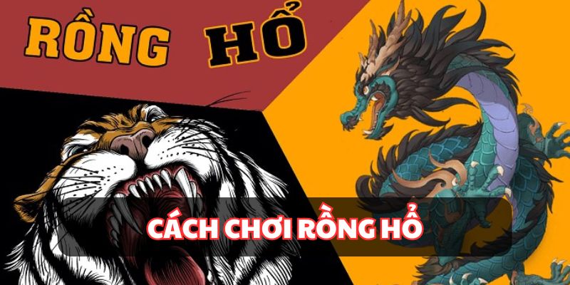 cách chơi rồng hổ