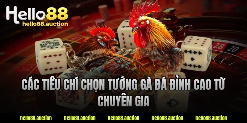 Các tiêu chí chọn tướng gà đá đỉnh cao từ chuyên gia