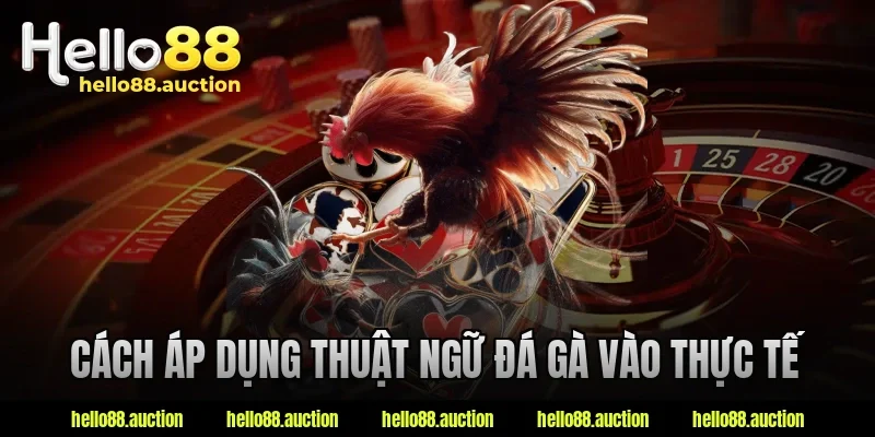 Cách áp dụng thuật ngữ đá gà vào thực tế