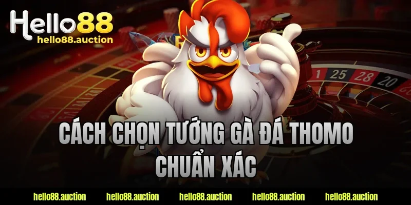 Cách chọn tướng gà đá Thomo chuẩn xác