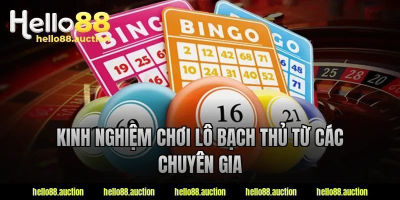 Kinh nghiệm chơi lô bạch thủ từ các chuyên gia