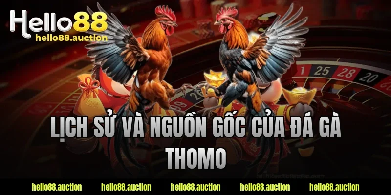 Lịch sử và nguồn gốc của đá gà Thomo