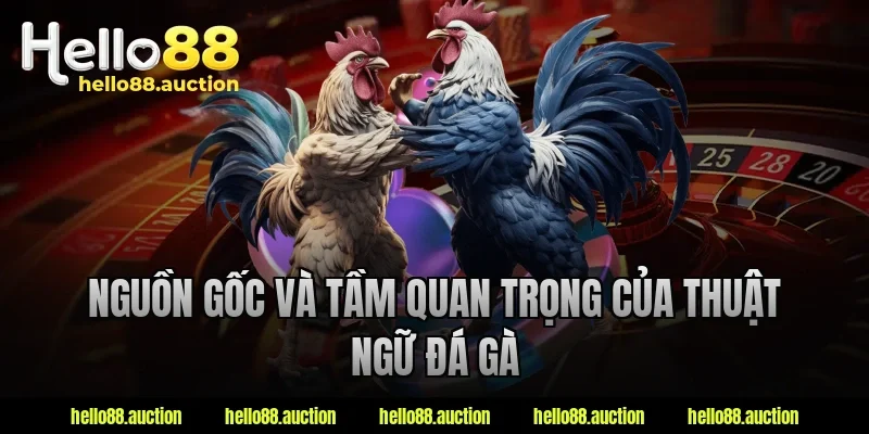 Nguồn gốc và tầm quan trọng của thuật ngữ đá gà
