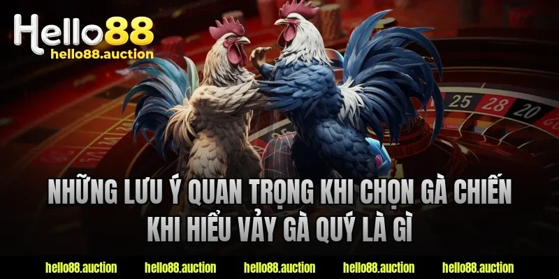 Những lưu ý quan trọng khi chọn gà chiến khi hiểu vảy gà quý là gì
