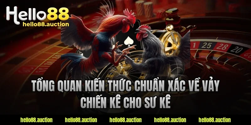 Tổng quan kiến thức chuẩn xác về vảy chiến kê cho sư kê
