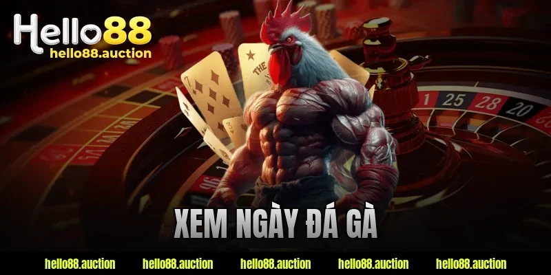 xem ngày đá gà